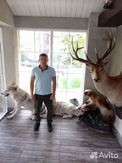 Услуги мастер на час кировский район