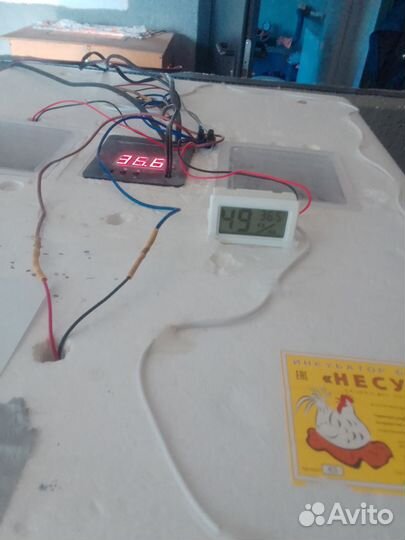 Инкубатор автоматический