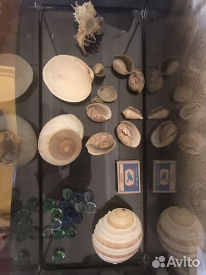 Аквариум на 22 литра