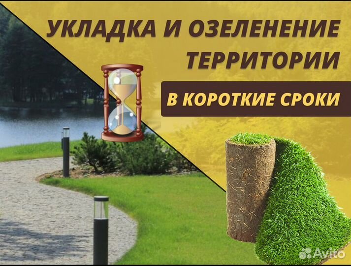 Рулонный газон под ключ