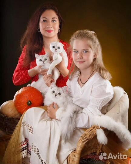 Уникальный фотопроект этой осени Аналогов нет