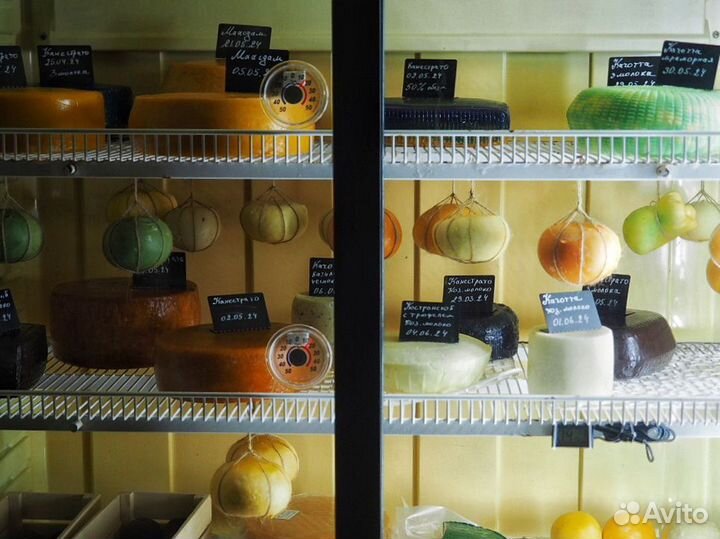 Вкусный сыр