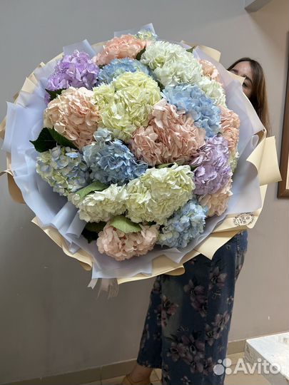 Гортензия цветы