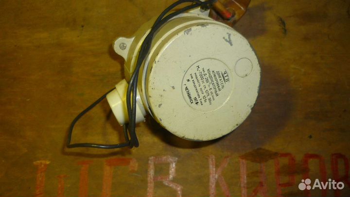 Электродвигатель асинхронный Д-219