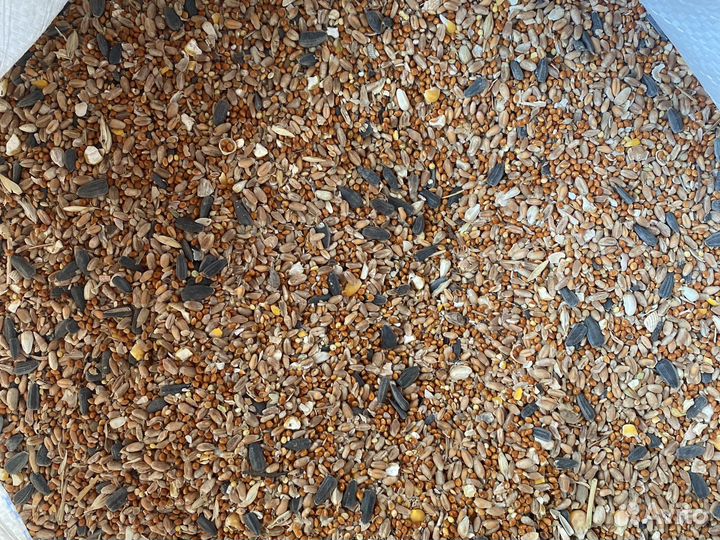 Зерно В мешках/комбикорма