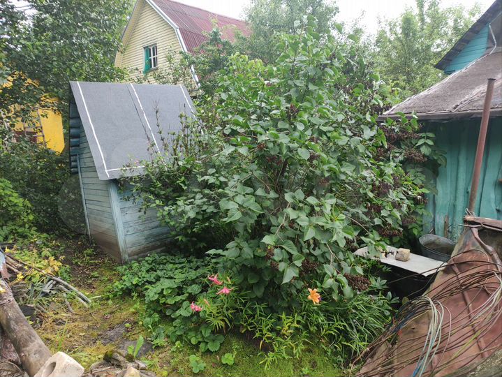 Дача 20 м² на участке 8 сот.