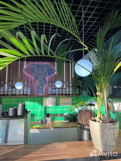 Франшиза Coffee Island Bali с высоким доходом