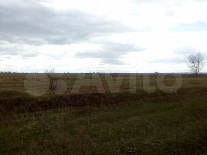 Участок 5,6 га (СНТ, ДНП)