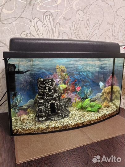 Аквариум