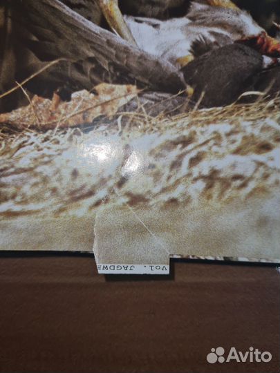 Охотничьи просторы. Орловское полесье. Книга II