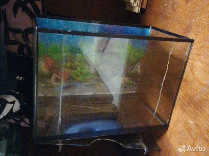 Аквариум