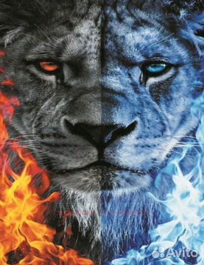 Алмазная мозаика 40x50 Огненный и ледяной лев