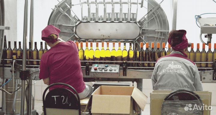 Контролер на линию розлива Вахтой с проездом