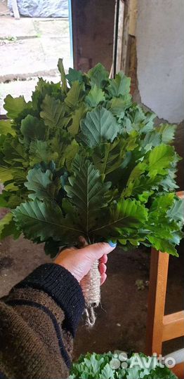 Дубовые веники