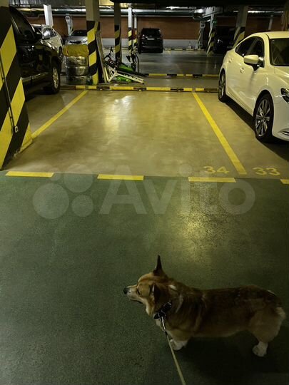 Машиноместо, 19 м²