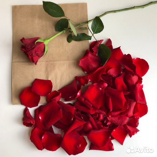 Лепестки роз