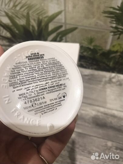 Tiziana terenzi Andromeda