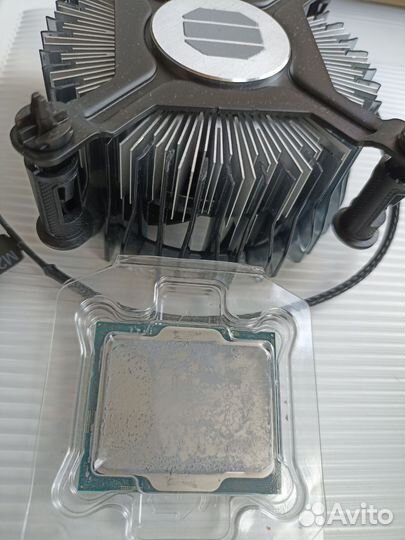 Intel celeron G6900 гарантия днс