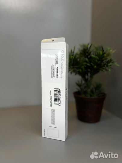 iPad pro apple pencil