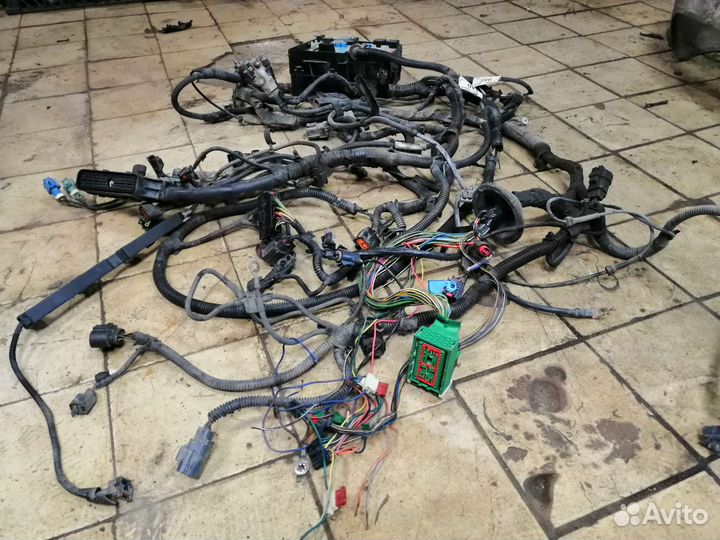 Проводка коса Ford Focus 2 рест 1.6 АКПП купе