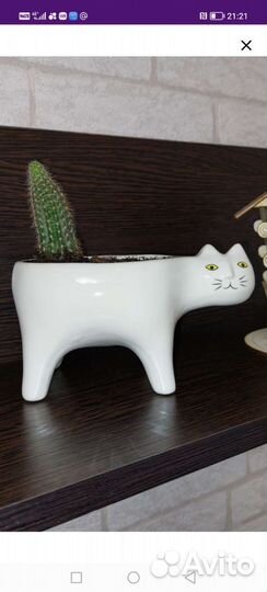 Кашпо котик