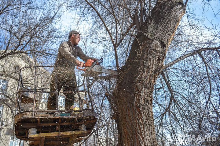 Спил деревьев,Расчистка участка.Выкорчевывание