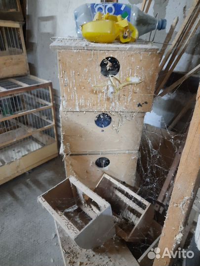 Гнездо для попугаев