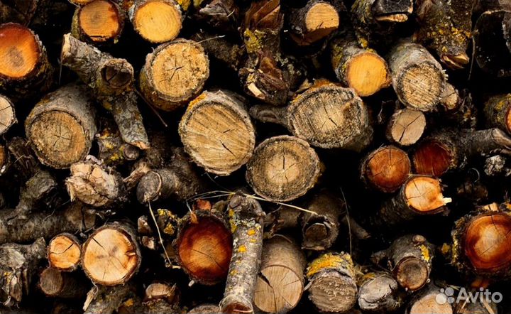 Дрова для камина