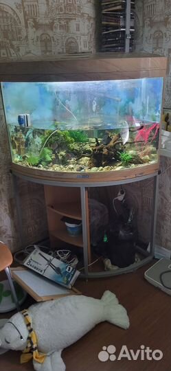 Аквариум с тумбой jebo r470