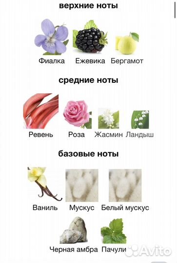 Potion for Women dsquared²