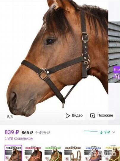 Недоуздок для пони pony