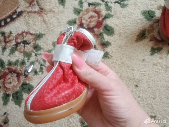 Обувь для маленьких собак