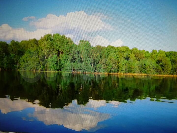 Участок 1,5 га (ИЖС)