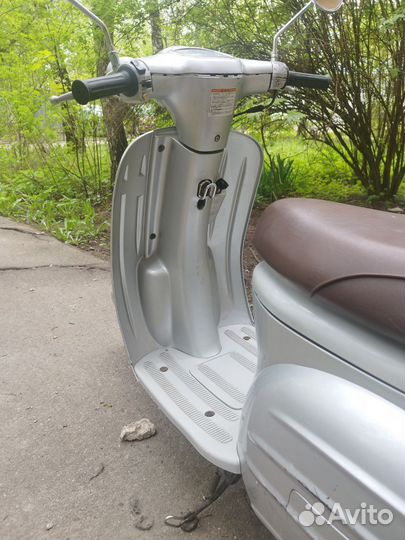 Suzuki verde