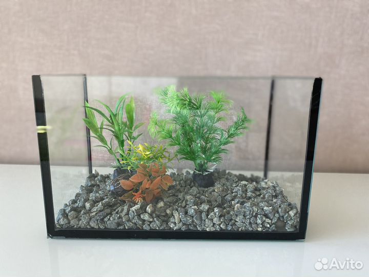 Аквариум