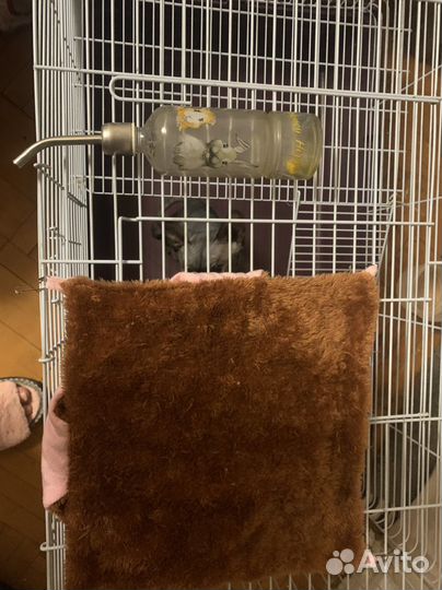 Клетка для кролика хорька шиншилы
