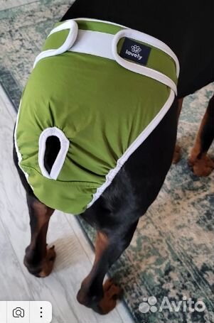 Трусы гигиенические многоразовые для собак