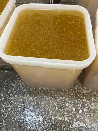 Донник свежий опт