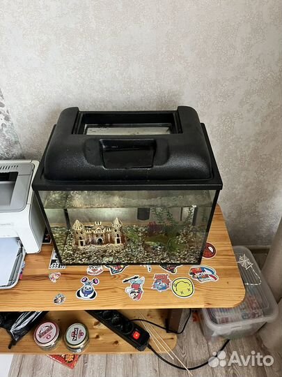 Продам аквариум с рыбками