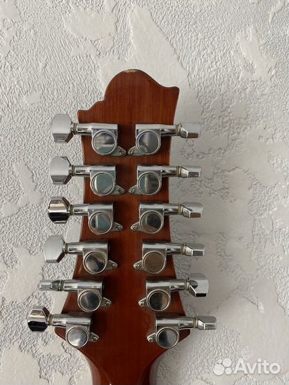 Акустическая гитара greg bennett D2/12