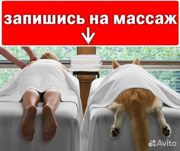 Специалист по хорошему настроению