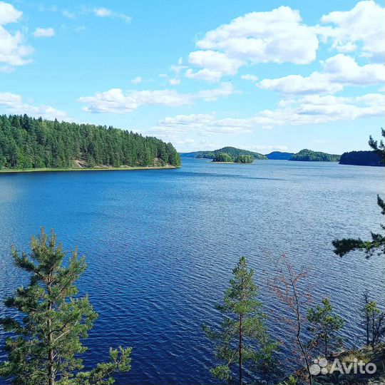 Прокат квадроциклов