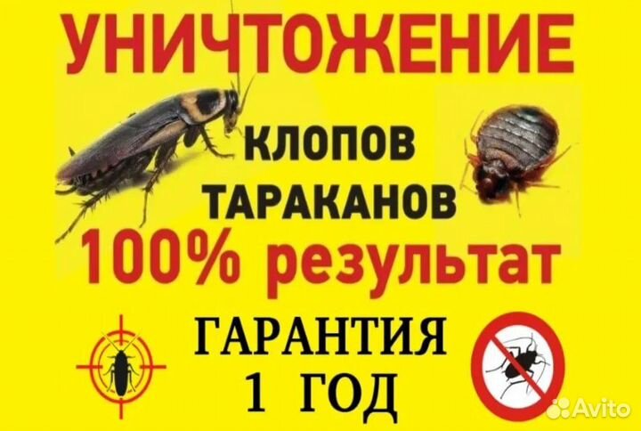 Дезинфекция от тараканов