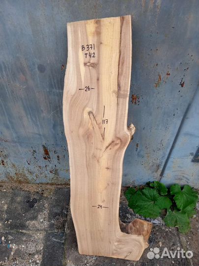 Слэб карагач