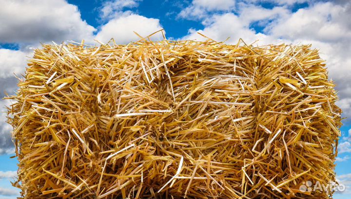 Сено Солома в тюках Комбикорма. Веники в Баню