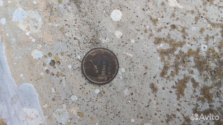 Нумезматика