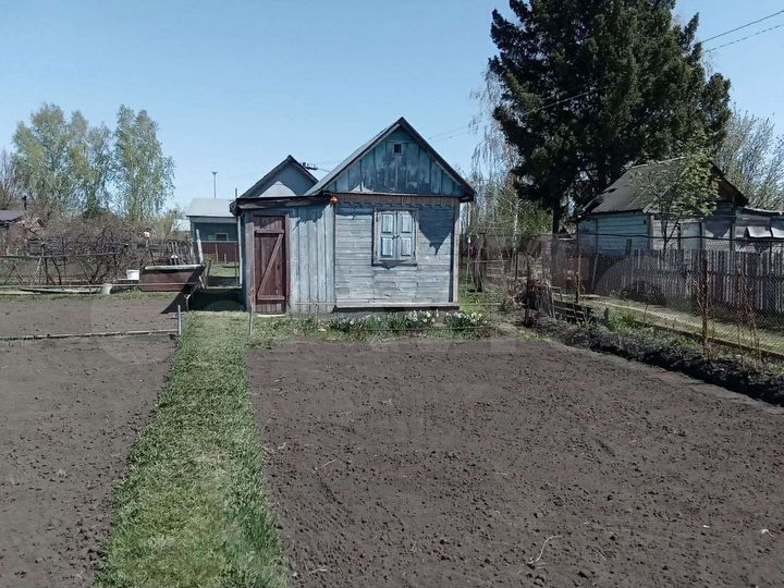 Авито сибиряки. СНТ Локомотив 2 Новоалтайск. Дача в Новоалтайске Локомотив 1 свежие объявления. ДНТ Локомотив 2 Новоалтайск участок номер 149. Купить дачу в садоводстве Сибиряк Новоалтайск.