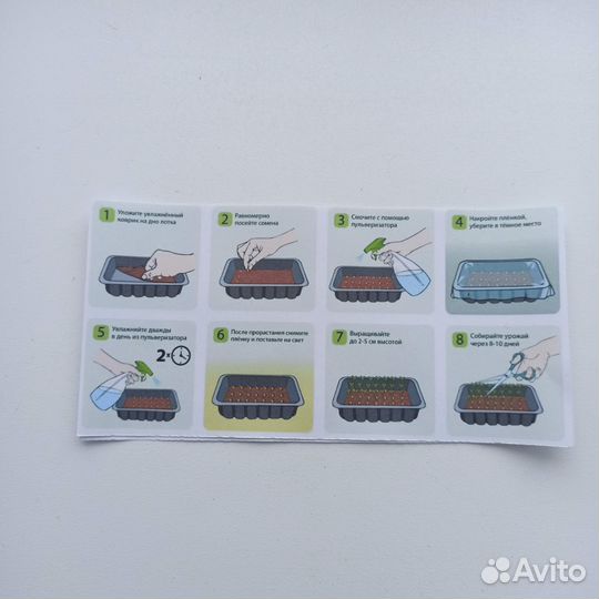 Микрозелень горох мадрасс