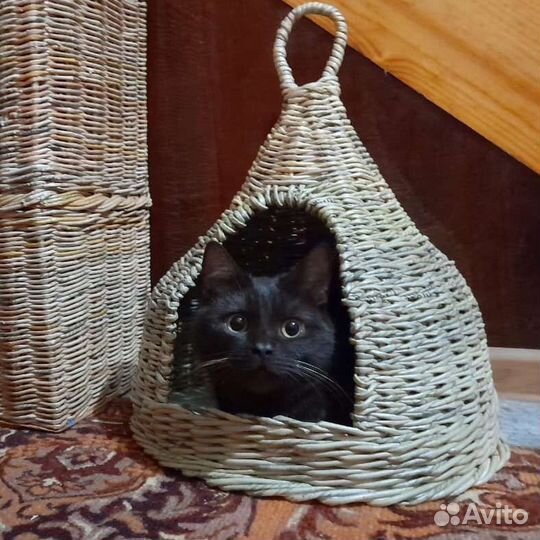 Котодом на заказ