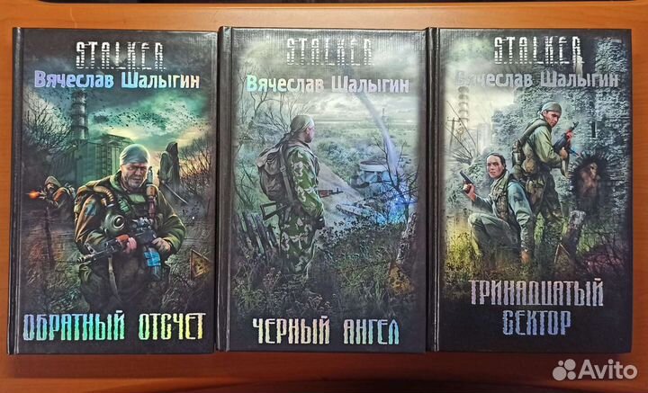 Сталкер Вячеслав Шалыгин все книги